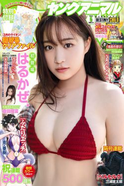 金铃花