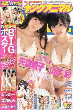 玉海棠电视剧