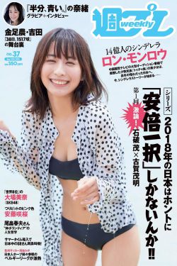 金装四大才子电视剧