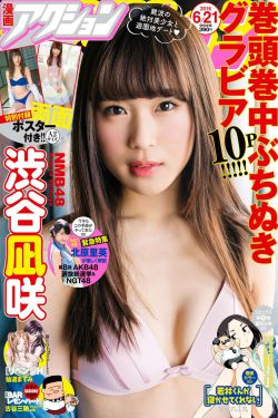 四大文学体裁