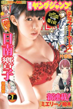 朝花惜拾